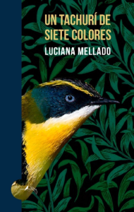 Un tachurí de siete colores