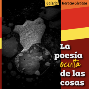 La poesía oculta de las cosas