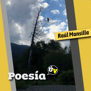 Poesía del Último Viernes (11)