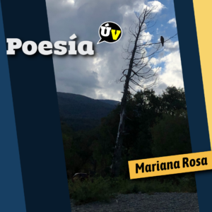 Poesía del Último Viernes (12)