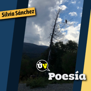 Poesía del Último Viernes (13)