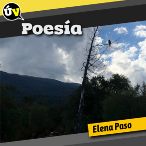 Poesía del Último Viernes (14)